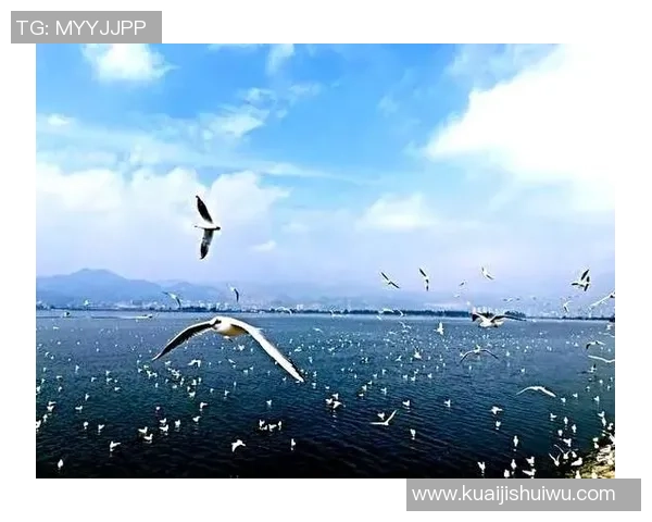 港澳台地区独特优势与中国大陆市场的竞争合作关系探讨